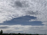 49009059-789C-466E-B86D-26AC447C8DBC