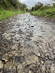 IMG_1892