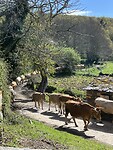 IMG_2096