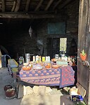 IMG_2221