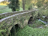 IMG_2240