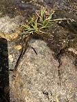 IMG_2273