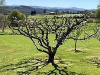 IMG_2625