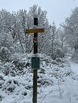 IMG_8004
