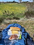 IMG_8159