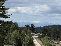 IMG_8132