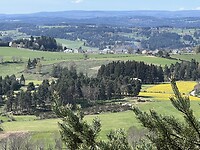 IMG_8154