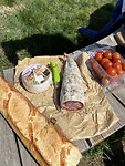 IMG_8206