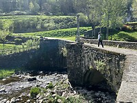 IMG_8271