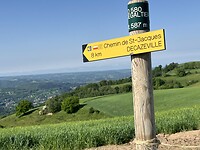 IMG_8494