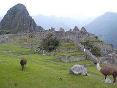 DSCN1776