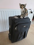 IMG_0064