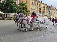 IMG_0087
