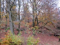 Göthenburg