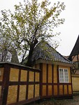 Aarhus