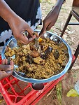 Gambian food