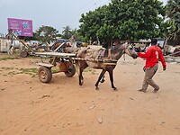 Paard en wagen
