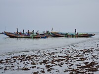 Tanji