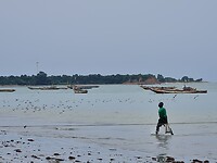 Tanji