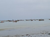 Tanji