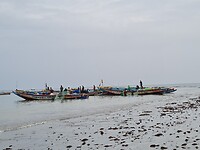 Tanji