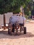 De vuilniswagen