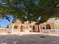 Moskee Bakau
