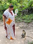 Monkey park