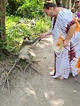 Monkey park