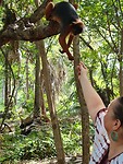 Monkey park