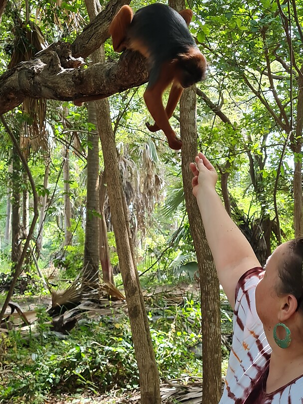 Monkey park