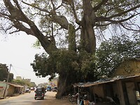 IMG_1805