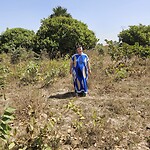plot at Gunjur