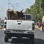 On the road