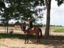 Amy at the horses