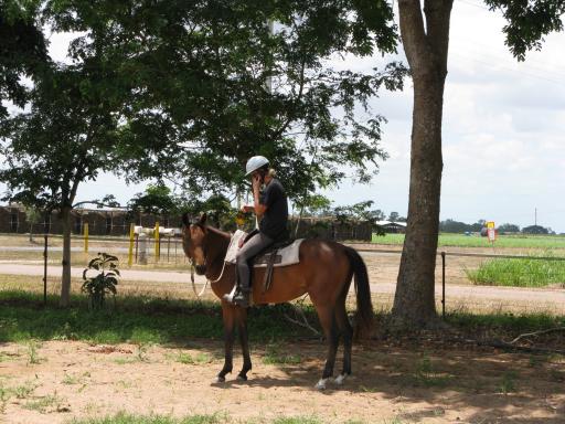 Amy at the horses