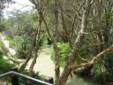 Eli creek