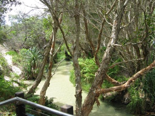 Eli creek