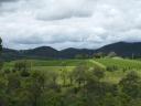 Hunter valley