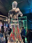 IMG_6760