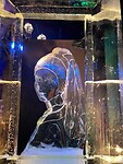 IMG_6767