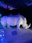 IMG_6777