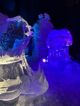IMG_6779