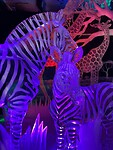 IMG_6772