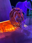 IMG_6774