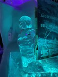 IMG_6781