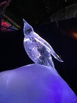 IMG_6784