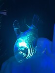 IMG_6786