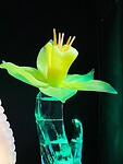 IMG_6788