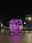 IMG_7104